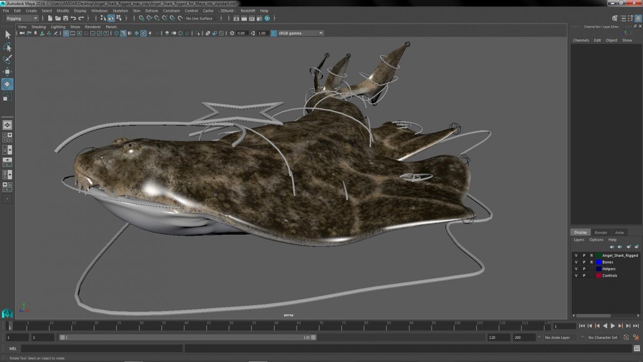 Angel Shark Rigged for Maya 3D