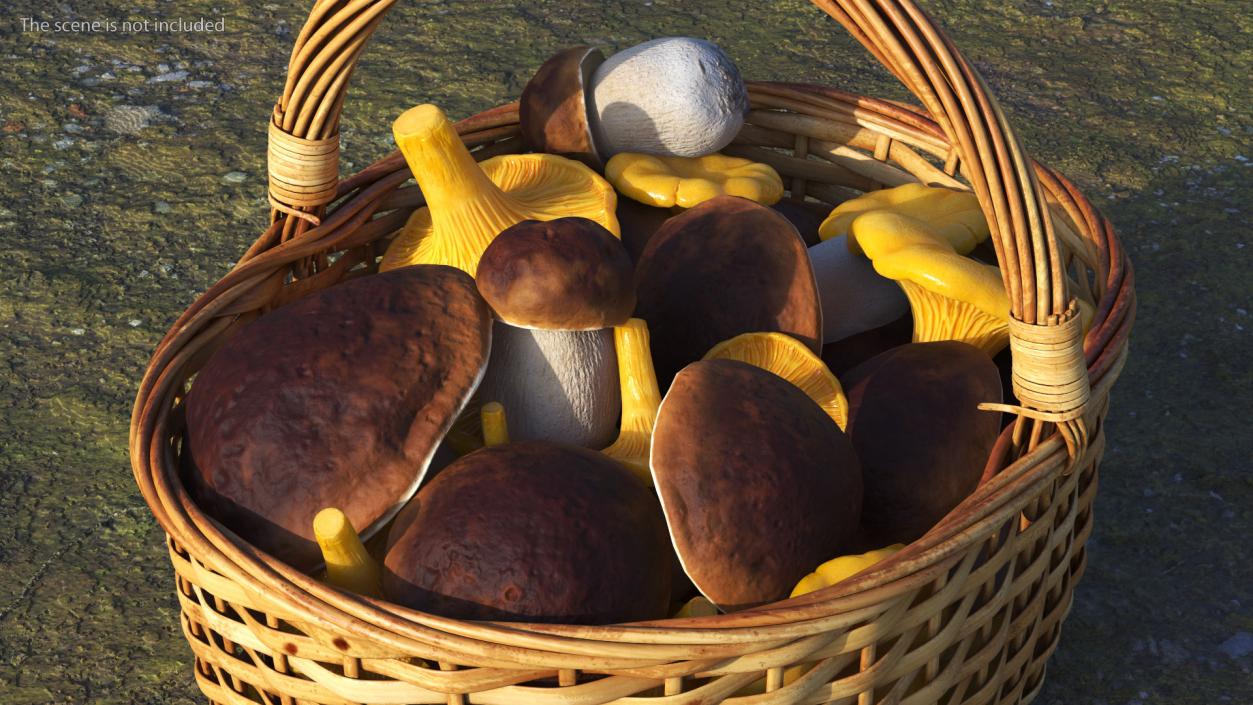 Basket of Mushrooms 3D model