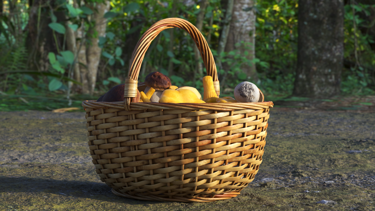 Basket of Mushrooms 3D model