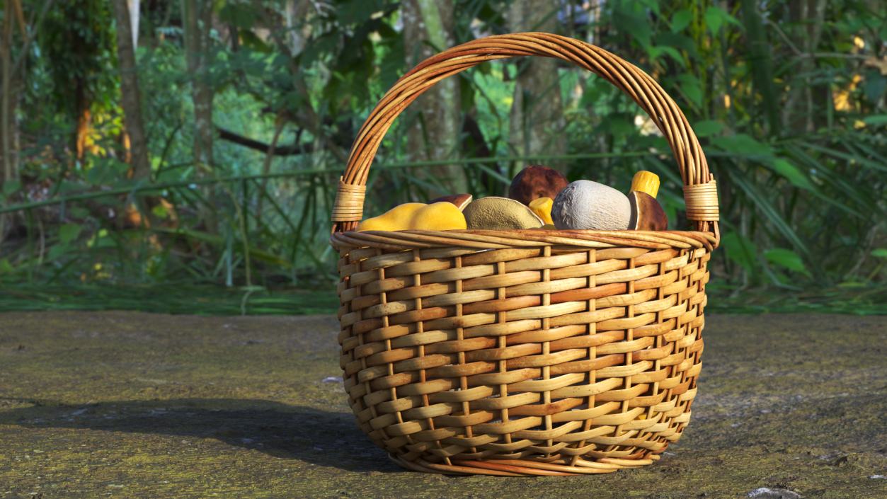 Basket of Mushrooms 3D model