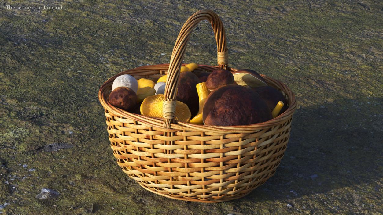 Basket of Mushrooms 3D model