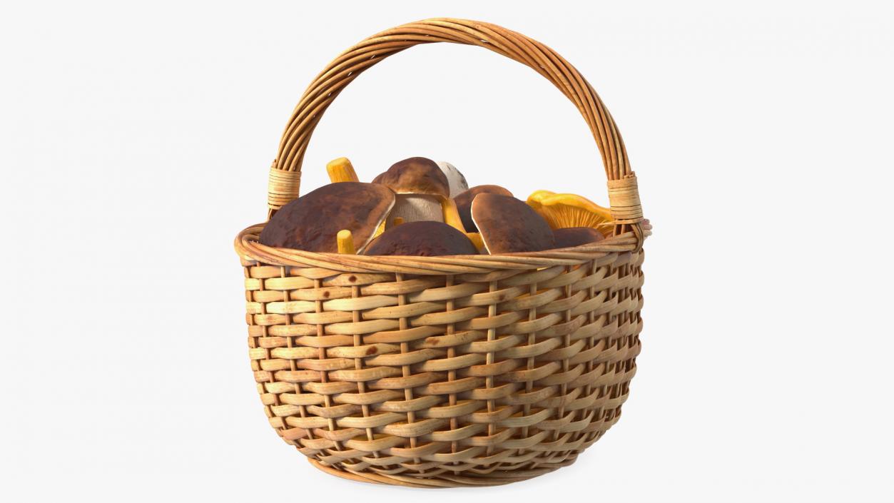 Basket of Mushrooms 3D model