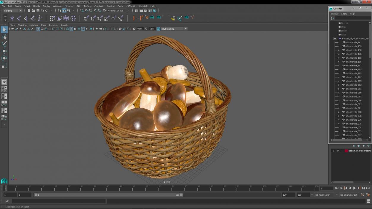 Basket of Mushrooms 3D model