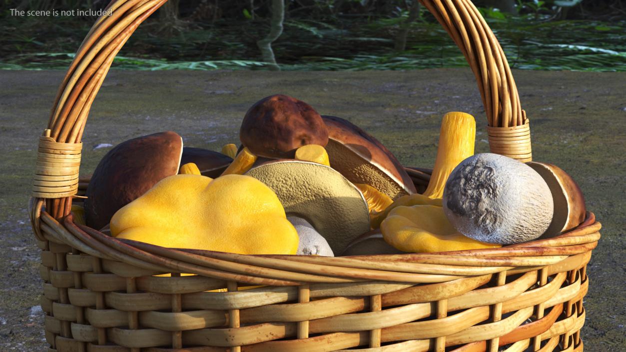 Basket of Mushrooms 3D model