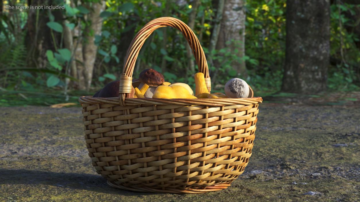 Basket of Mushrooms 3D model