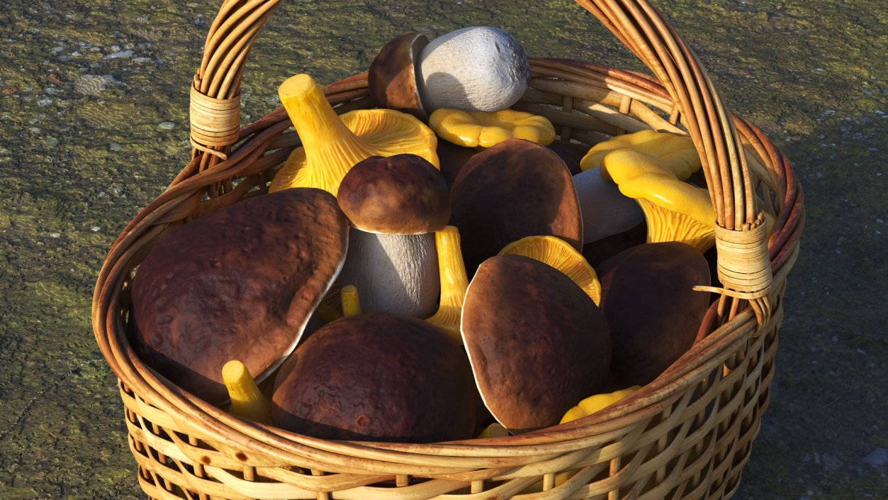 Basket of Mushrooms 3D model