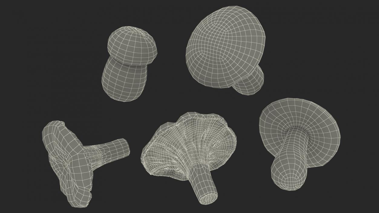 Basket of Mushrooms 3D model