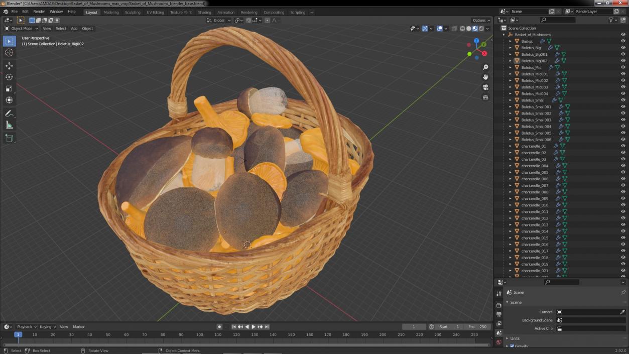 Basket of Mushrooms 3D model