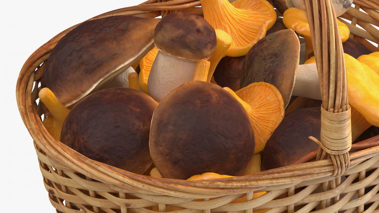 Basket of Mushrooms 3D model