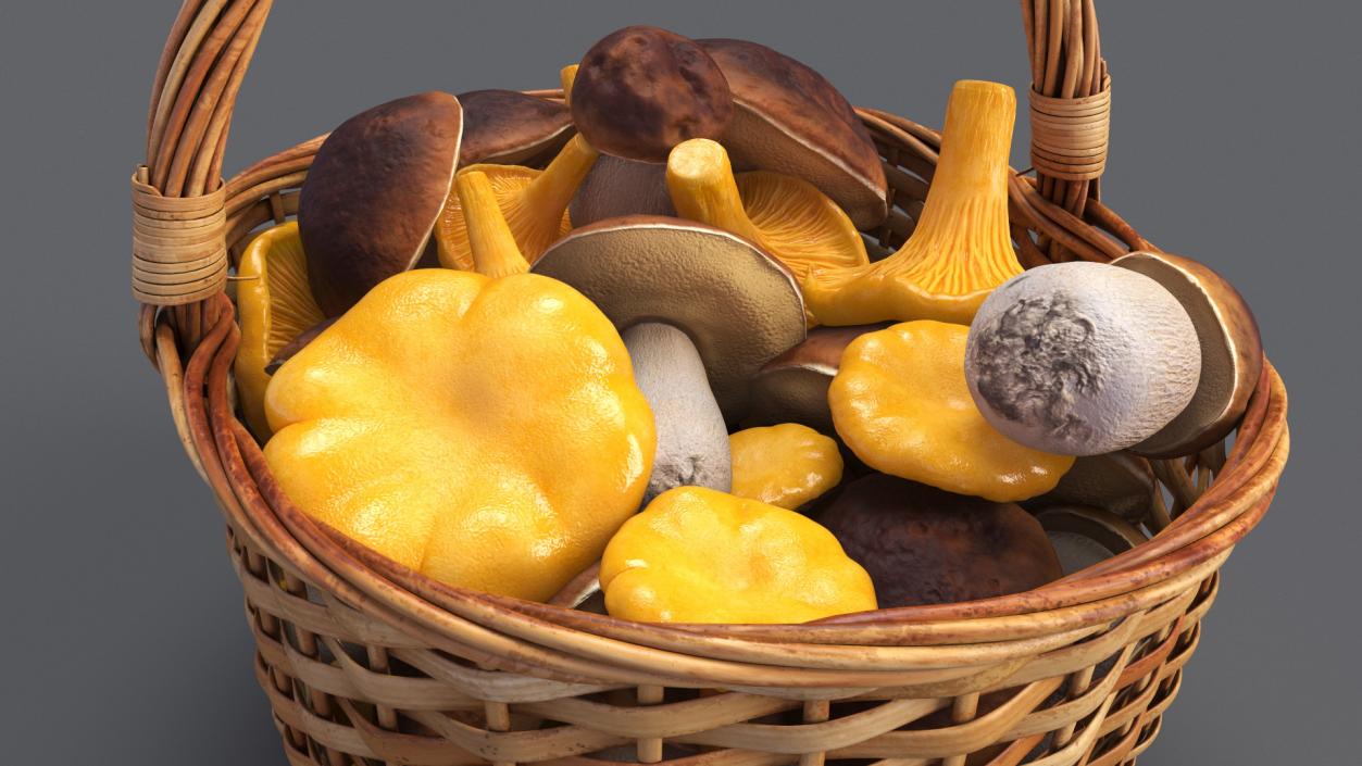 Basket of Mushrooms 3D model