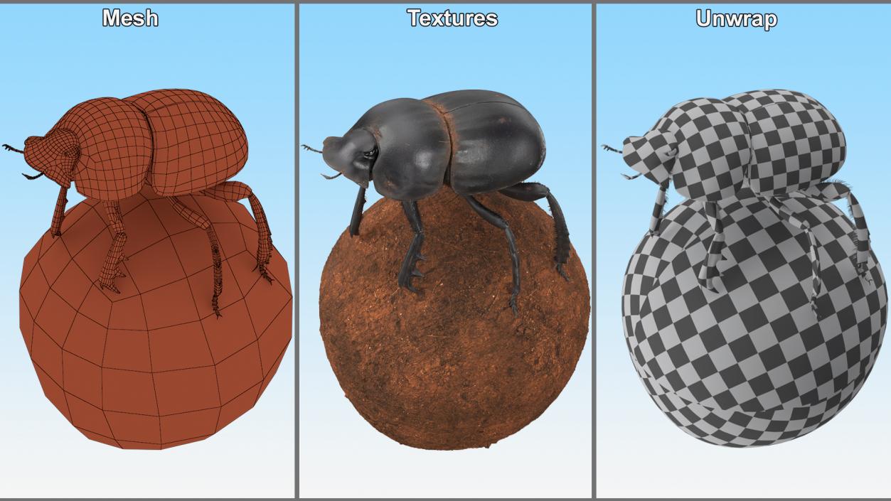 3D Scarabs on Sphere Dirt Fur