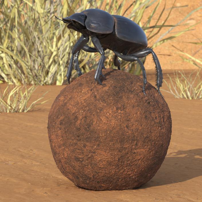 3D Scarabs on Sphere Dirt Fur