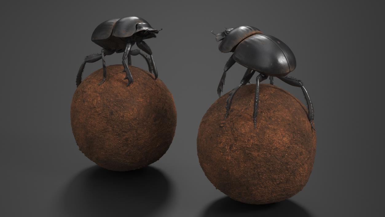 3D Scarabs on Sphere Dirt Fur