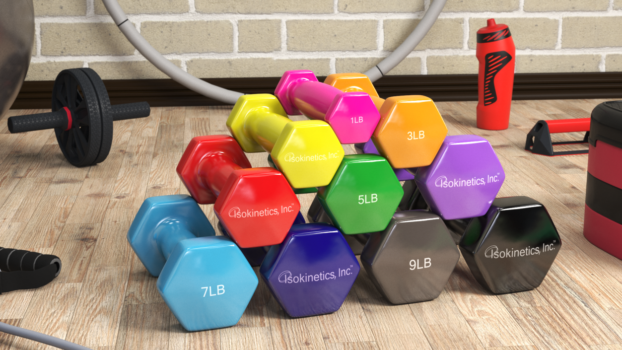 3D Vinyl Dumbbell Set model