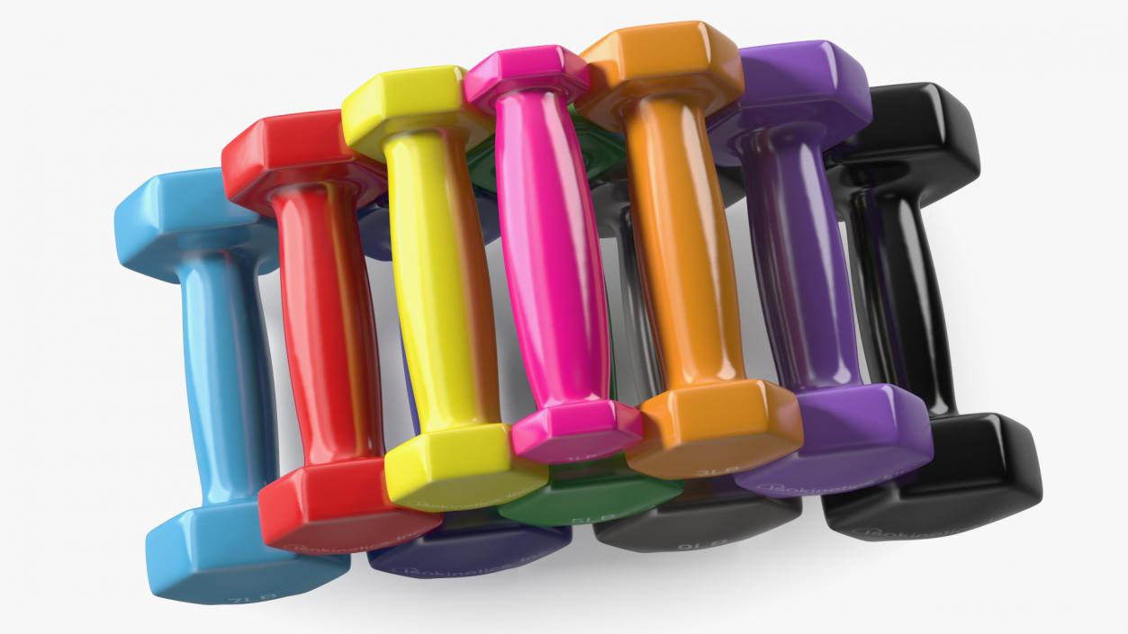 3D Vinyl Dumbbell Set model