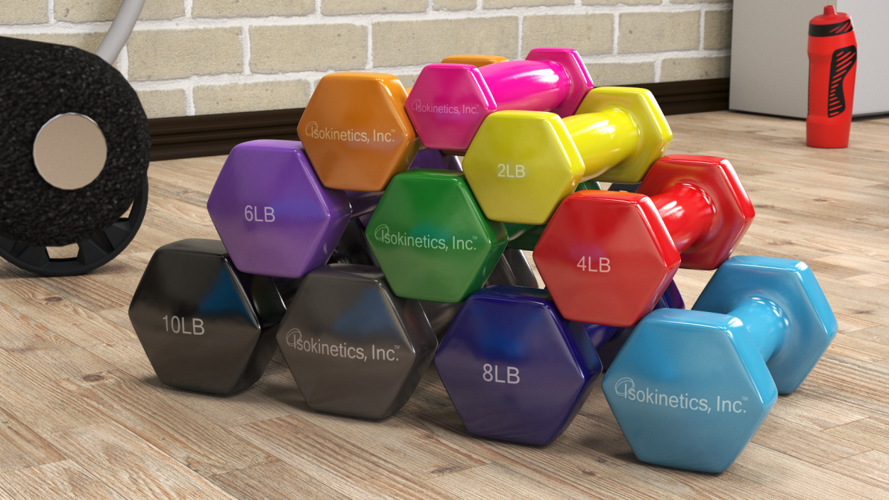 3D Vinyl Dumbbell Set model