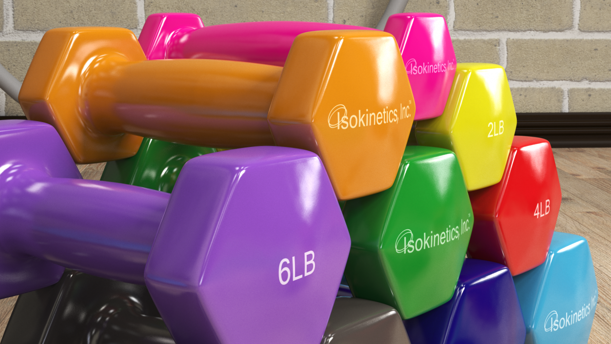 3D Vinyl Dumbbell Set model