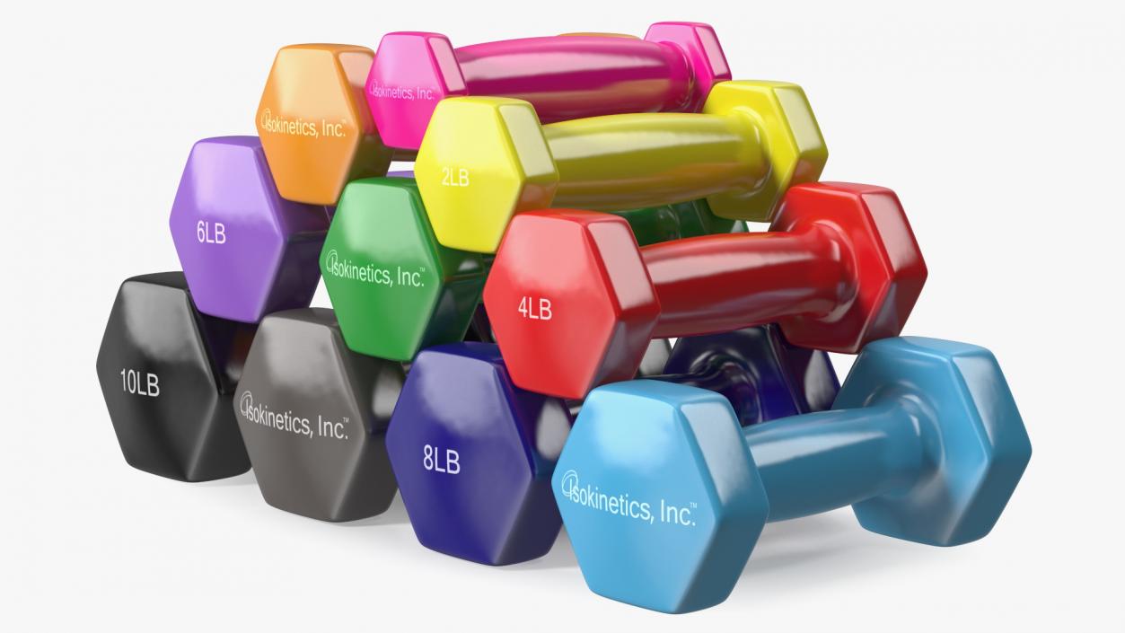 3D Vinyl Dumbbell Set model