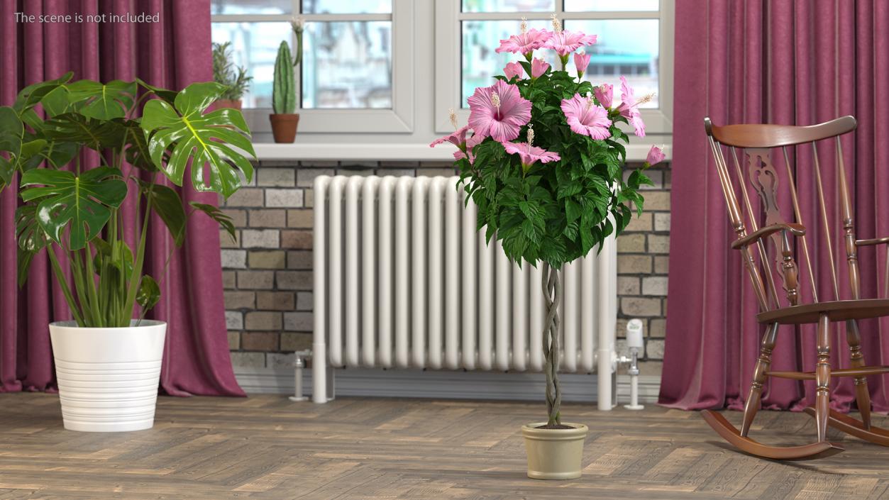 3D Braided Hibiscus Tree in Pot Pink model