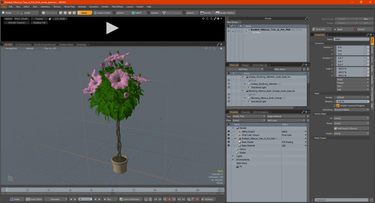 3D Braided Hibiscus Tree in Pot Pink model