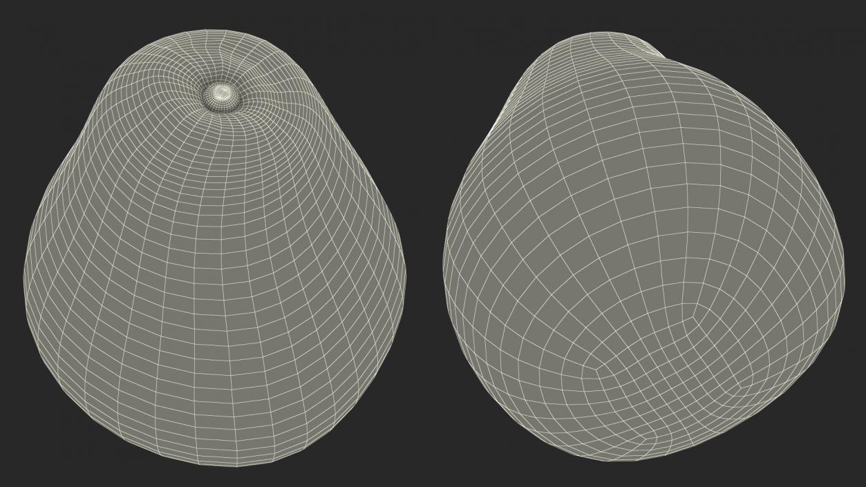 3D Avocado Fruit model