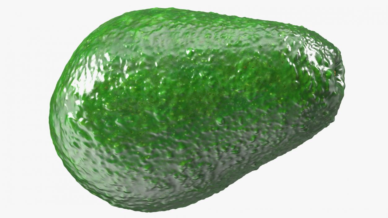 3D Avocado Fruit model