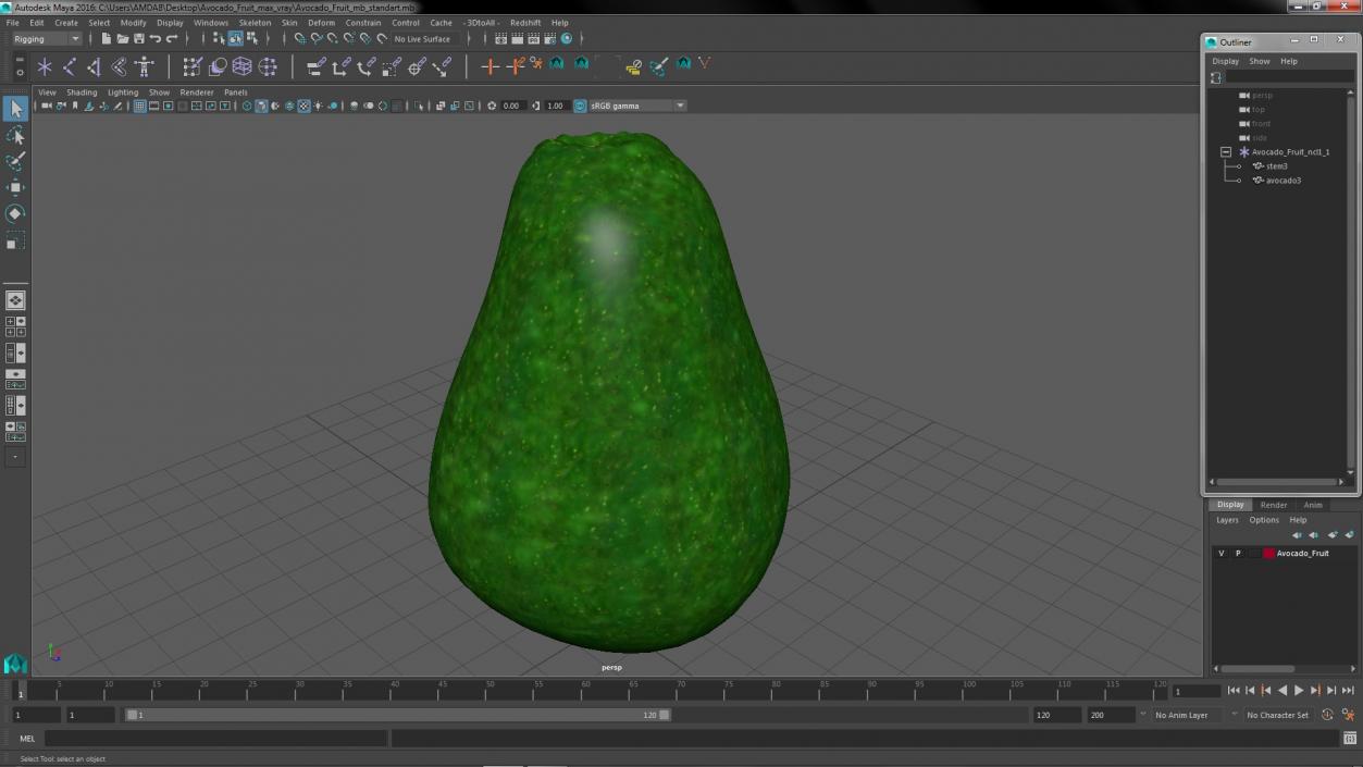 3D Avocado Fruit model