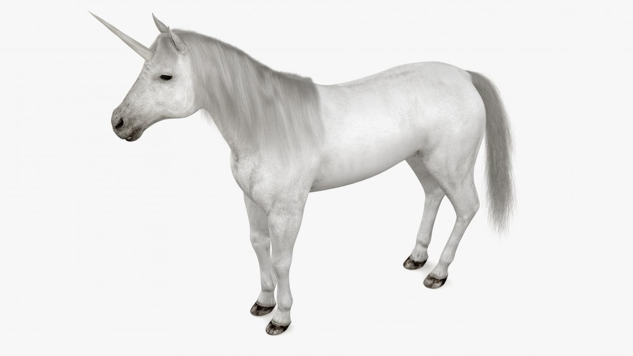 White Unicorn with Fur 2 3D model