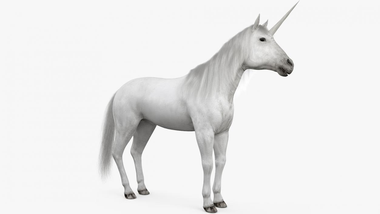 White Unicorn with Fur 2 3D model