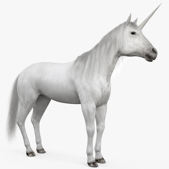 White Unicorn with Fur 2 3D model