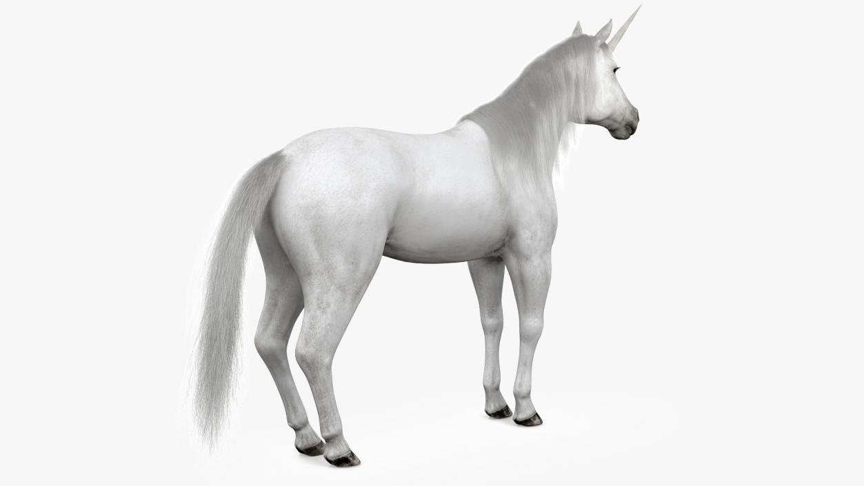 White Unicorn with Fur 2 3D model