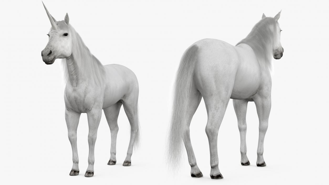 White Unicorn with Fur 2 3D model