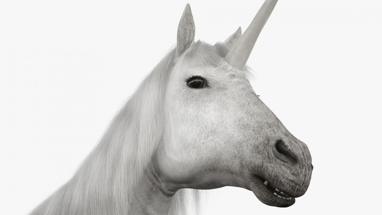 White Unicorn with Fur 2 3D model