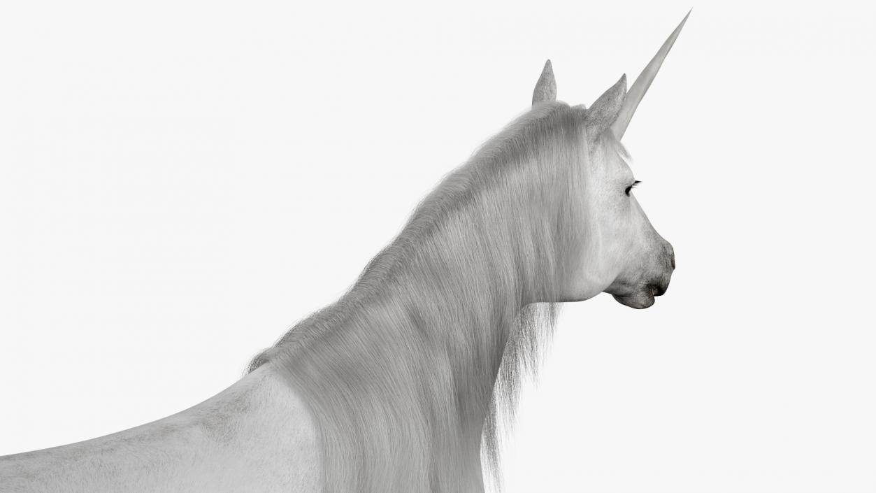 White Unicorn with Fur 2 3D model