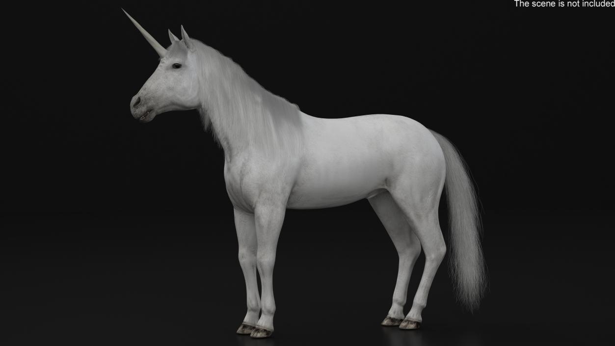 White Unicorn with Fur 2 3D model