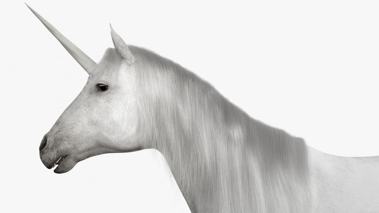 White Unicorn with Fur 2 3D model