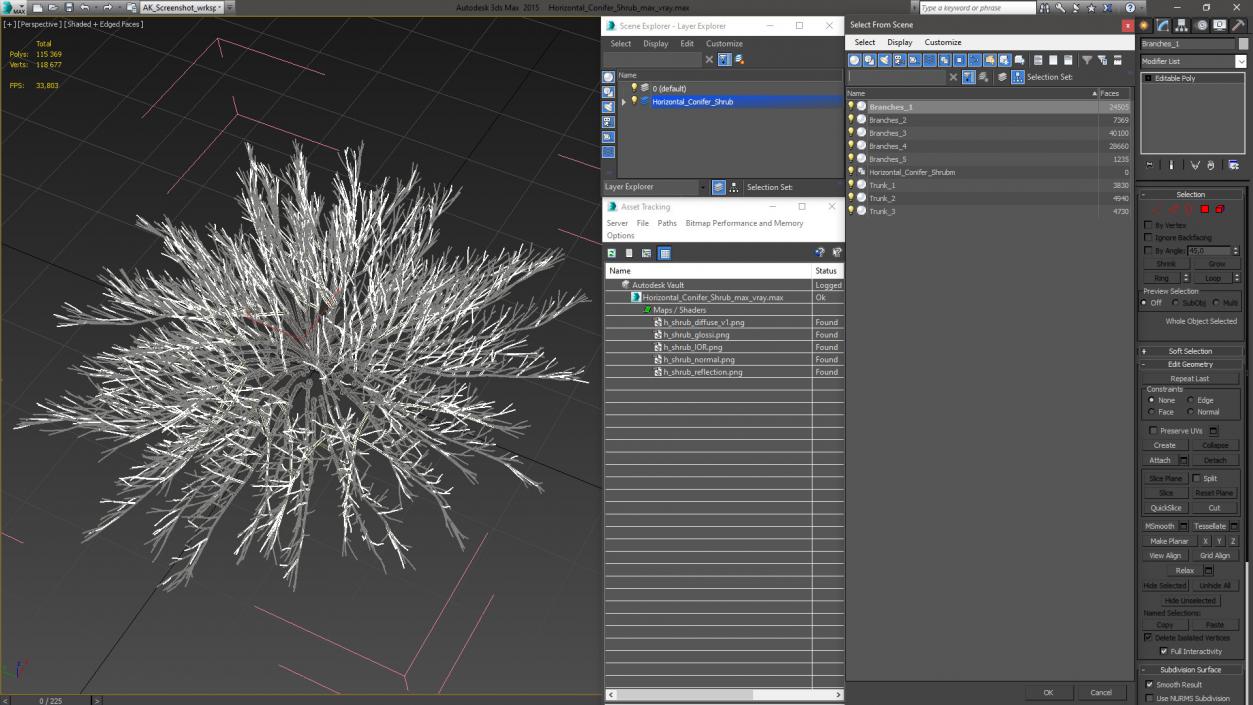 Horizontal Conifer Shrub(1) 3D