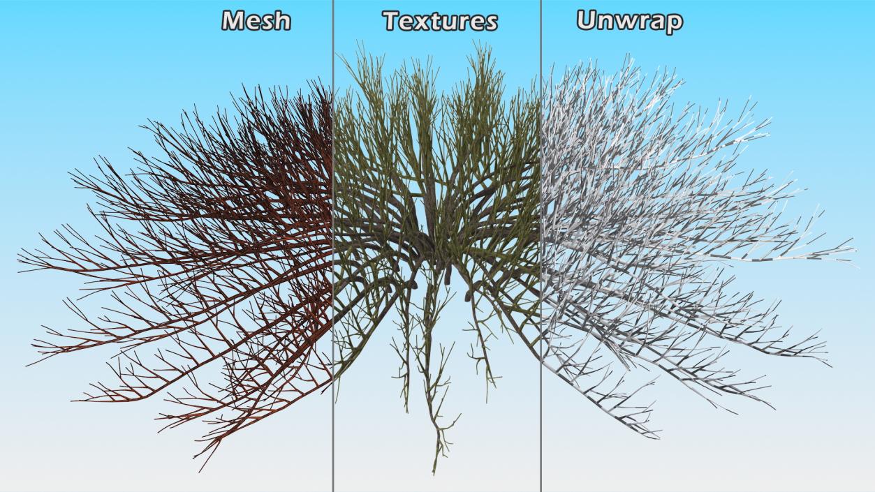 Horizontal Conifer Shrub(1) 3D