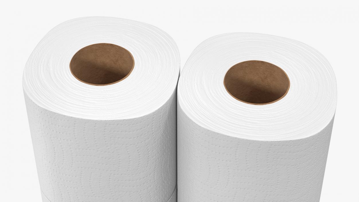 3D Toilet Tissue 4 Rolls