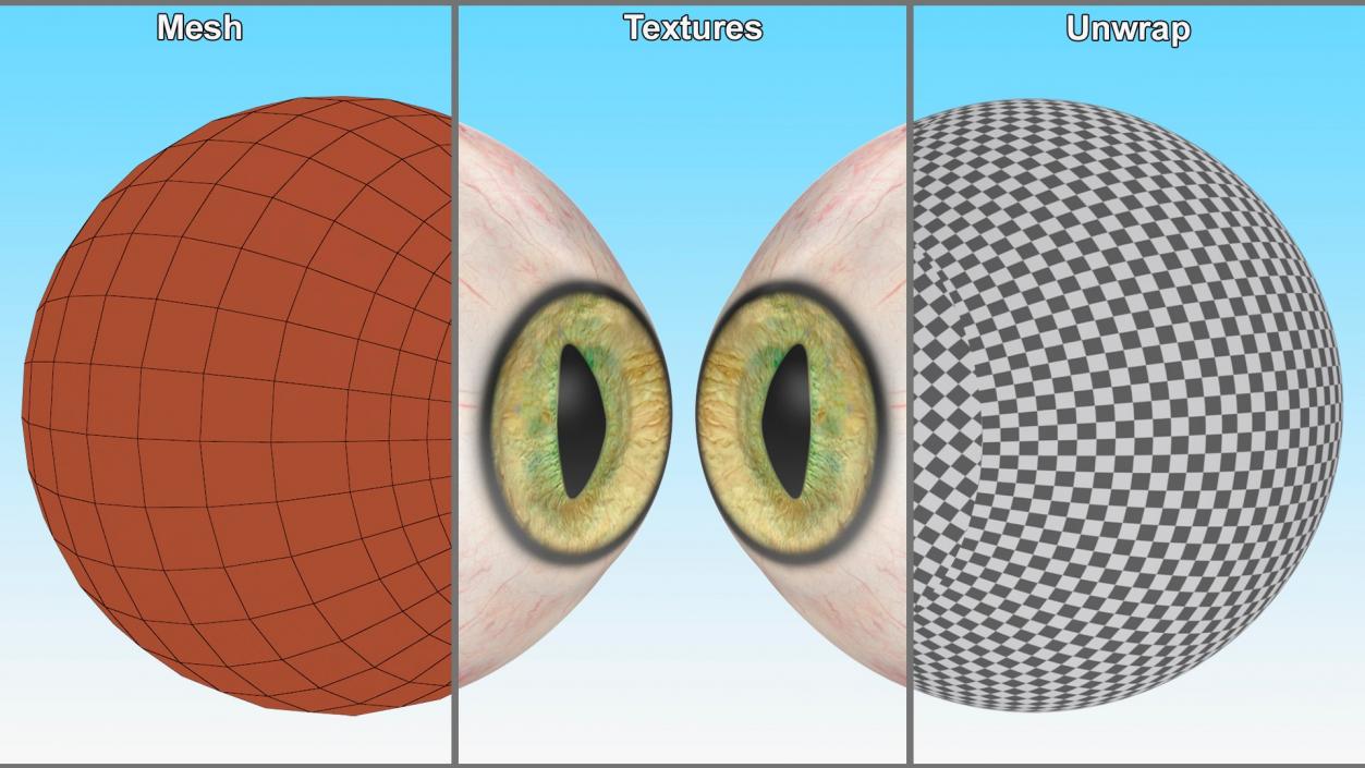 Realistic Animal Eyes Collection 3 3D model