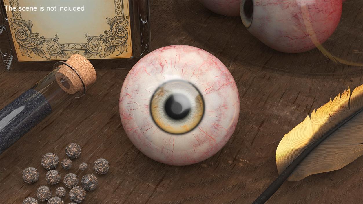 Realistic Animal Eyes Collection 3 3D model