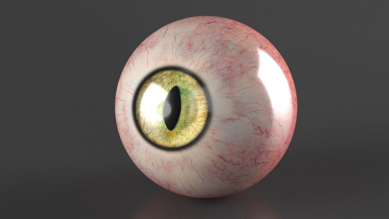 Realistic Animal Eyes Collection 3 3D model