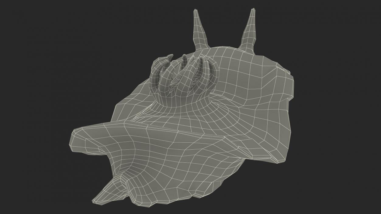 3D Blue Nudibranch Mollusk model