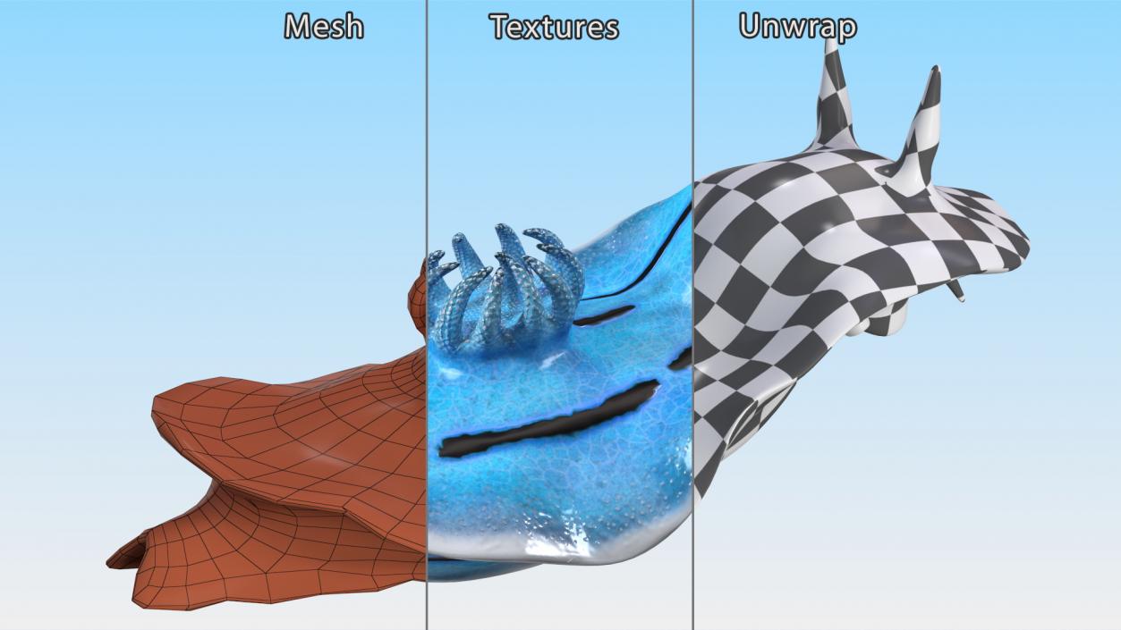 3D Blue Nudibranch Mollusk model