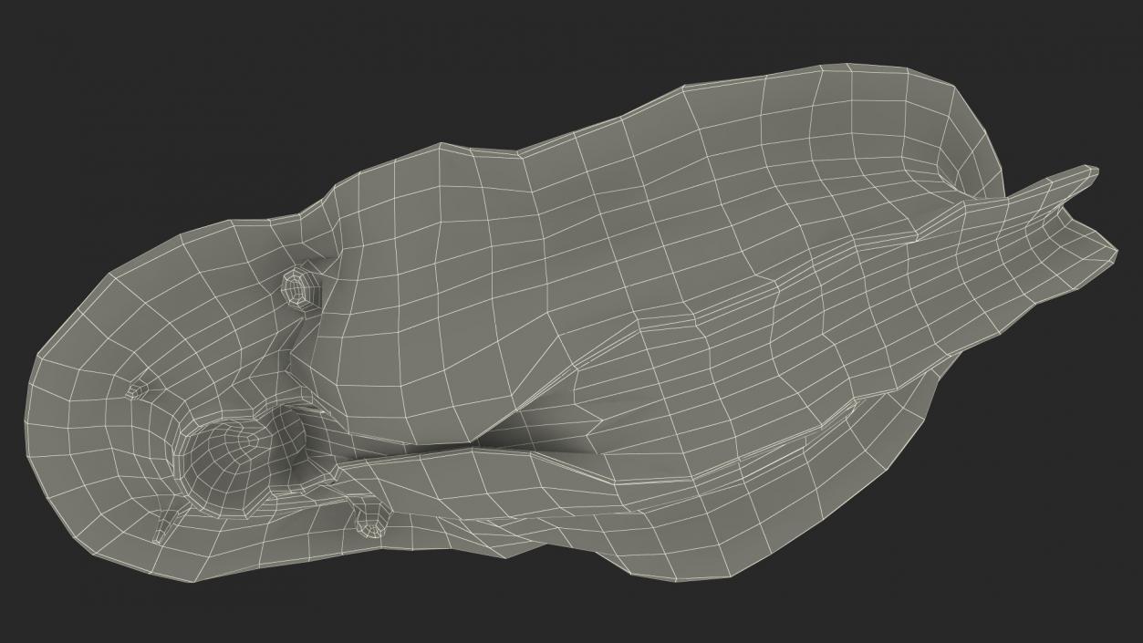 3D Blue Nudibranch Mollusk model