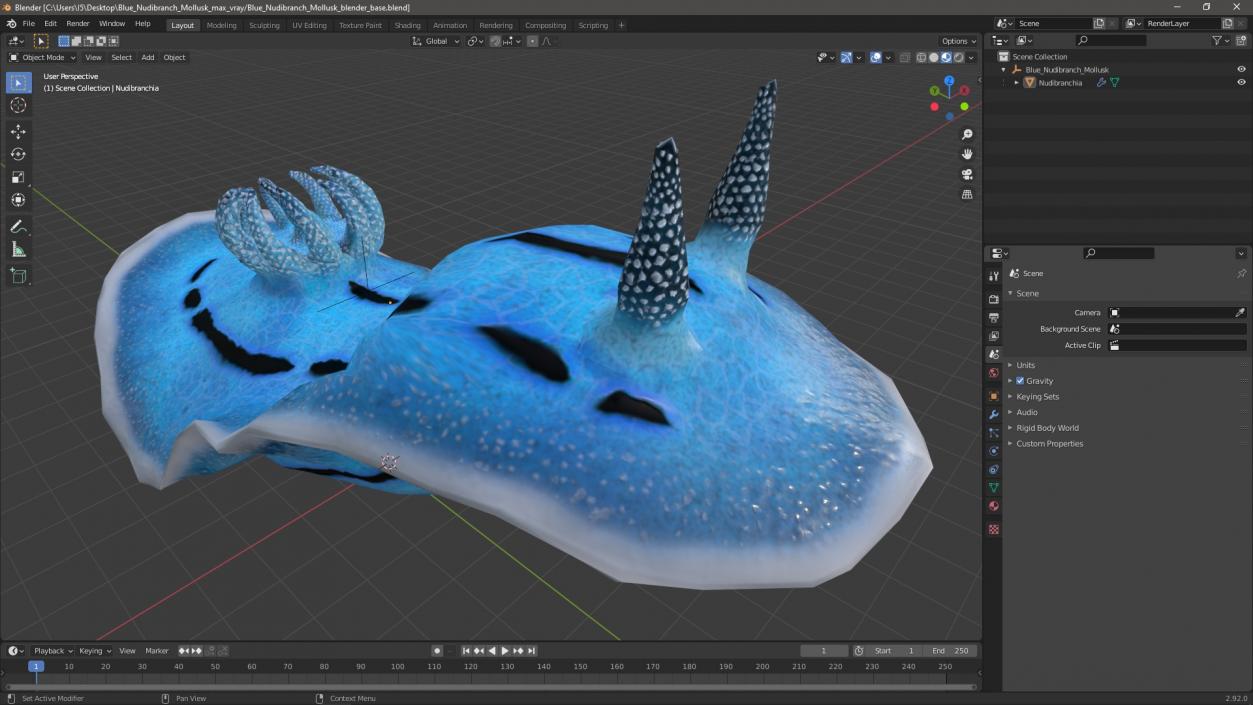 3D Blue Nudibranch Mollusk model