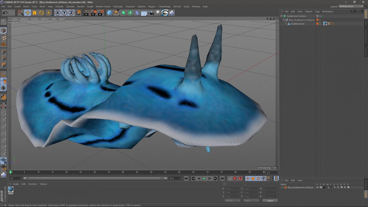 3D Blue Nudibranch Mollusk model