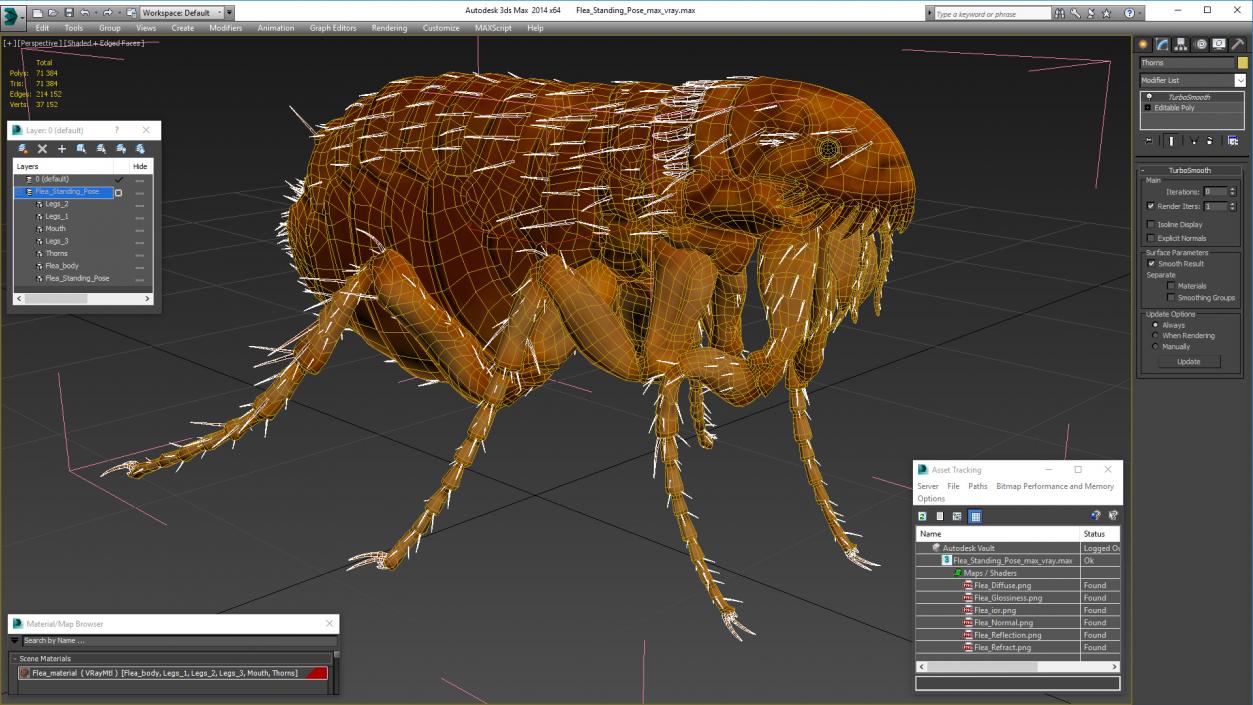 3D Flea Standing Pose model