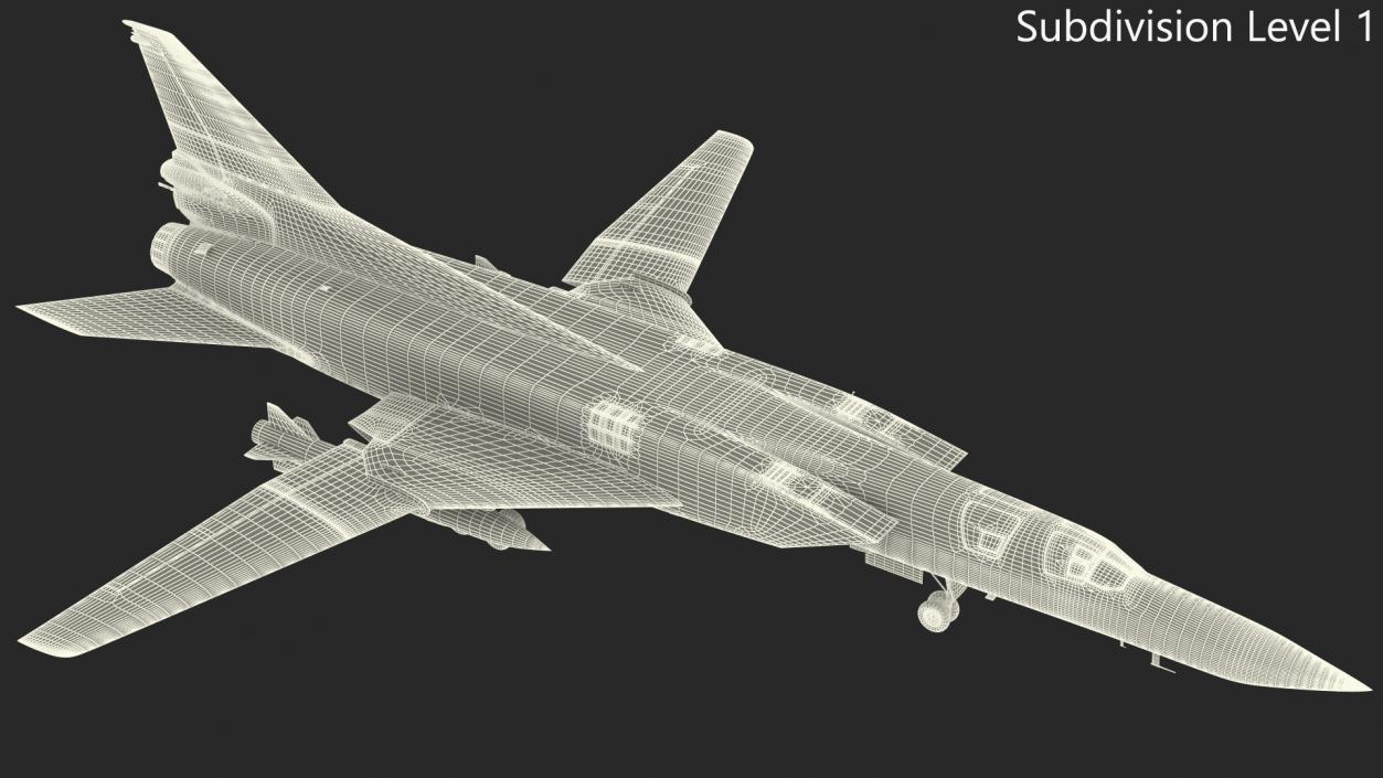 Long Range Missile Carrier Bomber Plane 3D model