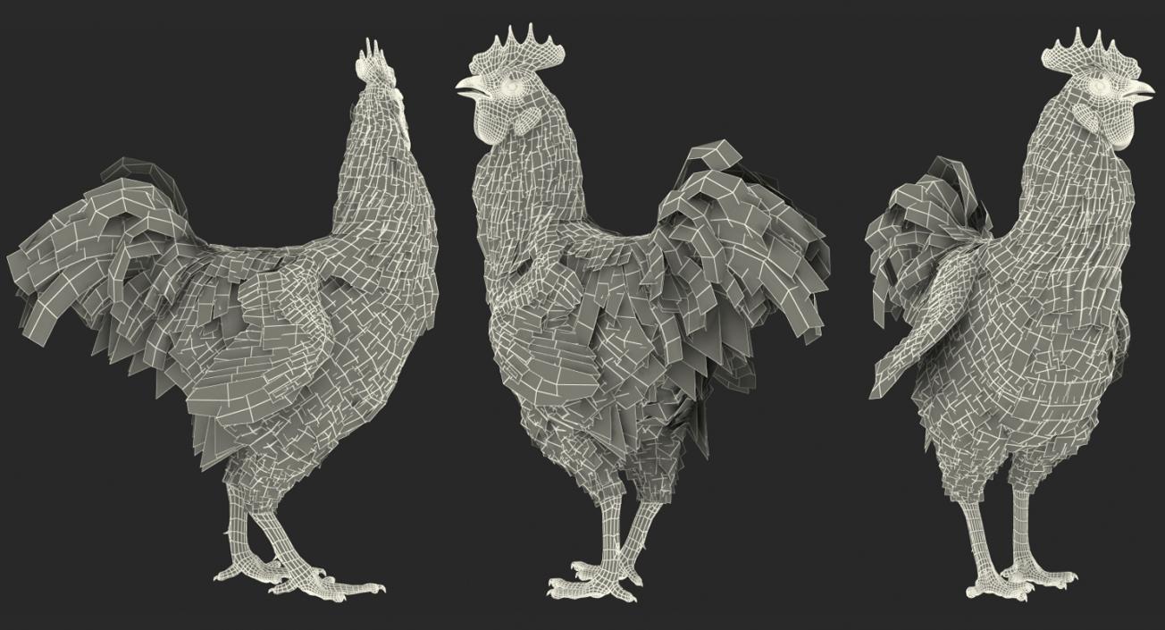 3D Brown Hen Standing model